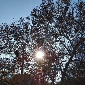 Meet your Posher, Philip